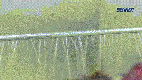 1557990942486560.gif 5.gif