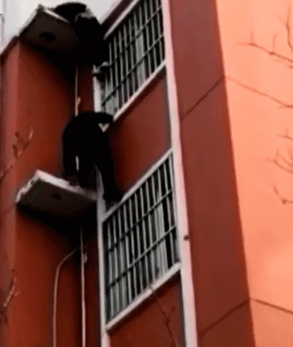 1673313982136716.gif 640 (5).gif