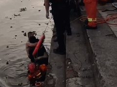 1673314049834859.gif 640 (10).gif